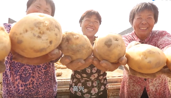 農(nóng)業(yè)種植